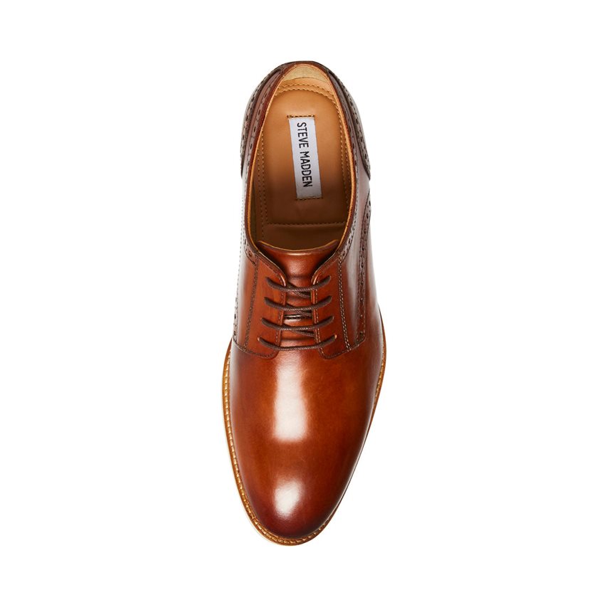 Brown Steve Madden Derbyy Leather Men's Derby Shoes | PH 2516KI16